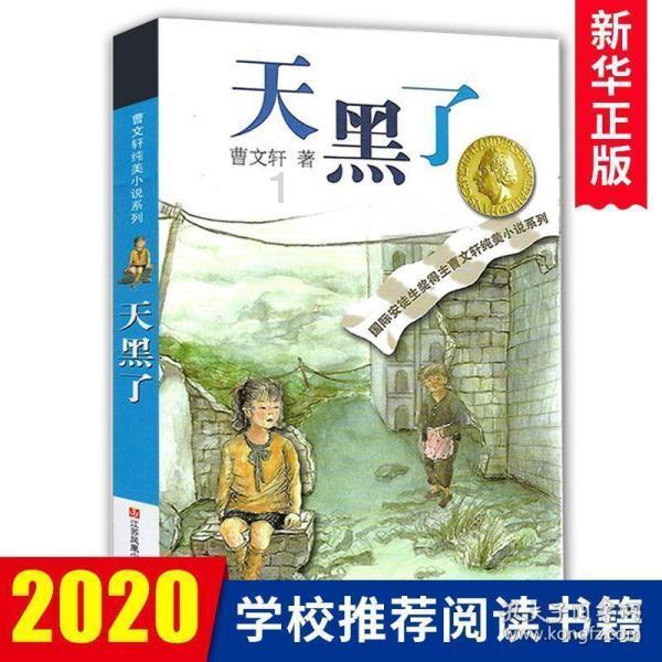 夏季的雨