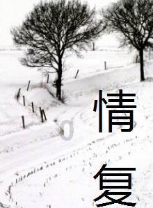 春运开始 郑州交警将加大交通违法查处力度