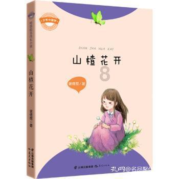 超黄金铠甲