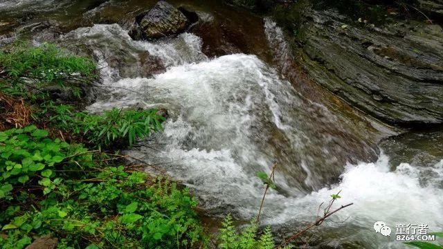 逃离弃城